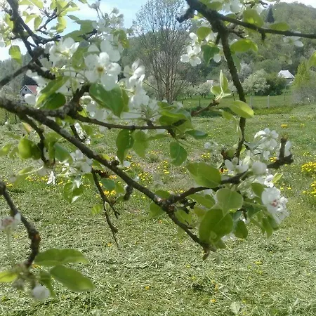 Appartamento Apartament Podgorica