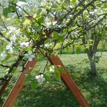 Appartamento Apartament Podgorica